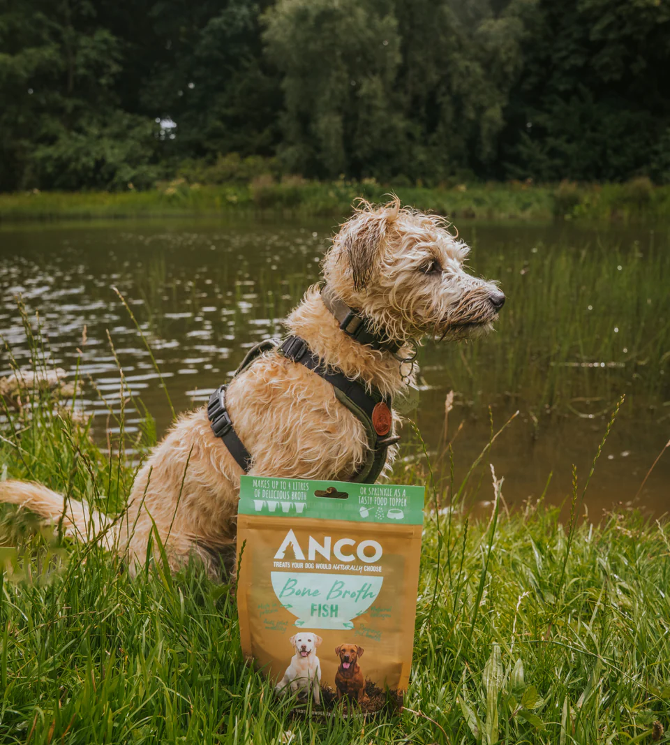 Anco Fish Bone Broth 120g - Image 2