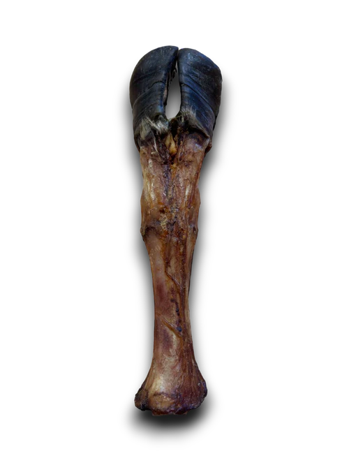 Anco Giant Cow Leg