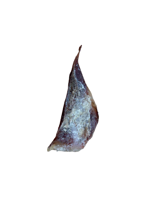 Anco Moon Bone (Small)