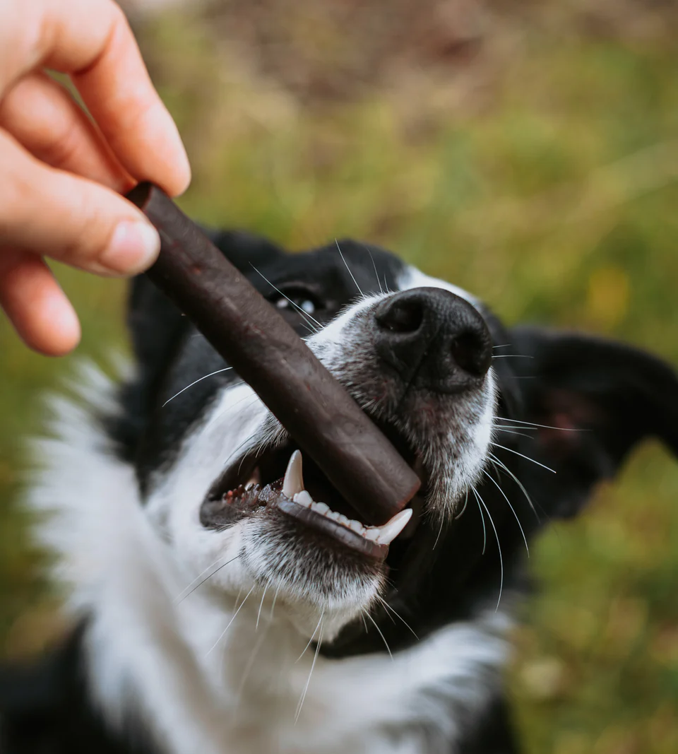 Anco Ostrich Prime Tender Sticks - Image 2