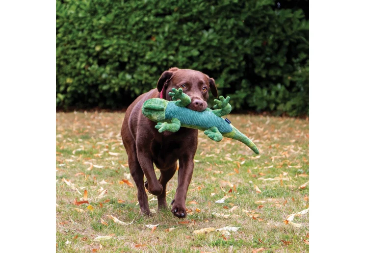 Ancol Cuddle Lizard - Image 2