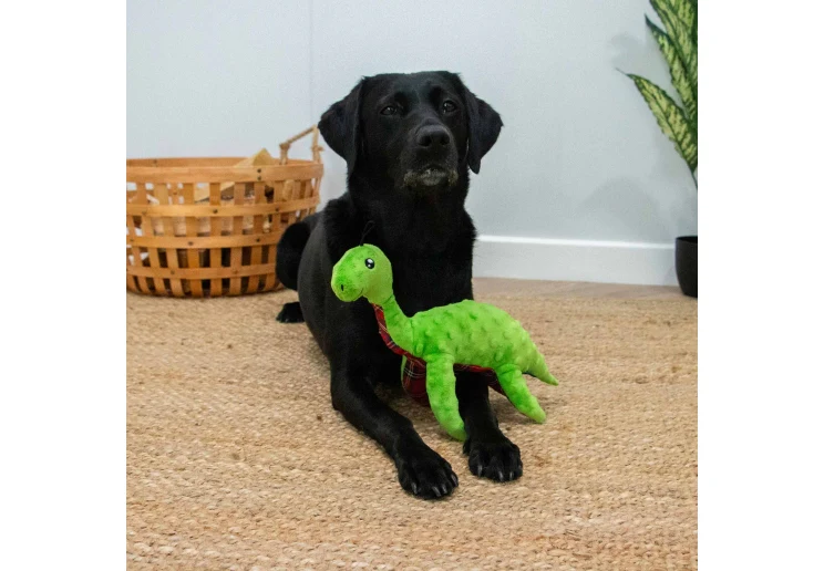 Ancol Cuddle Lottie Loch Ness Monster - Image 2