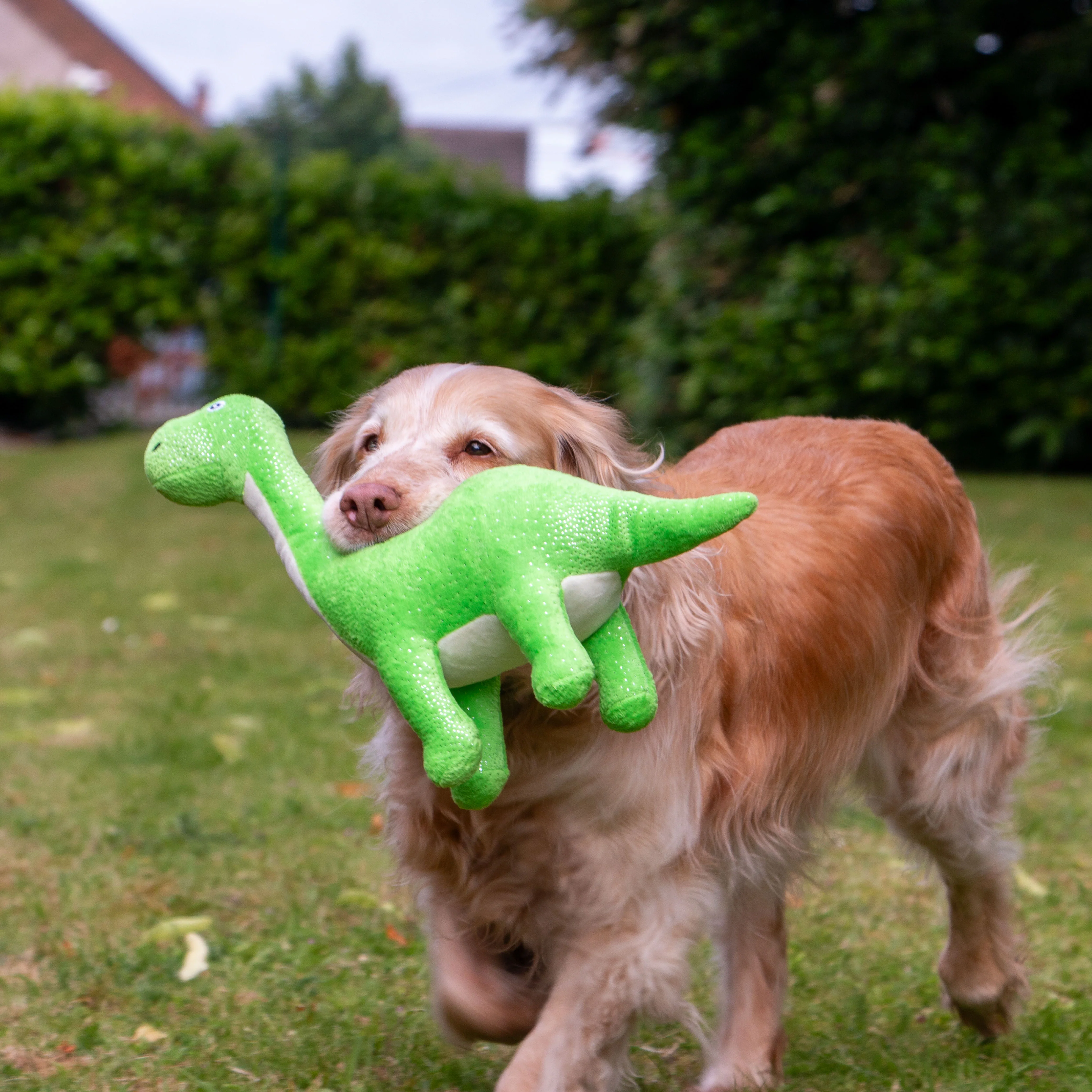 Ancol Cuddle Roarsome Dinos - Image 3