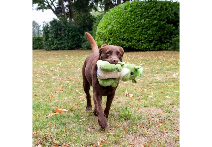 Ancol Cuddle Sprout the Dragon - Image 2