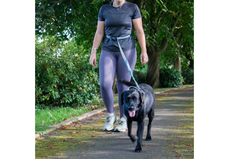 Ancol Extreme + Shock Absorb Running Lead - Image 3