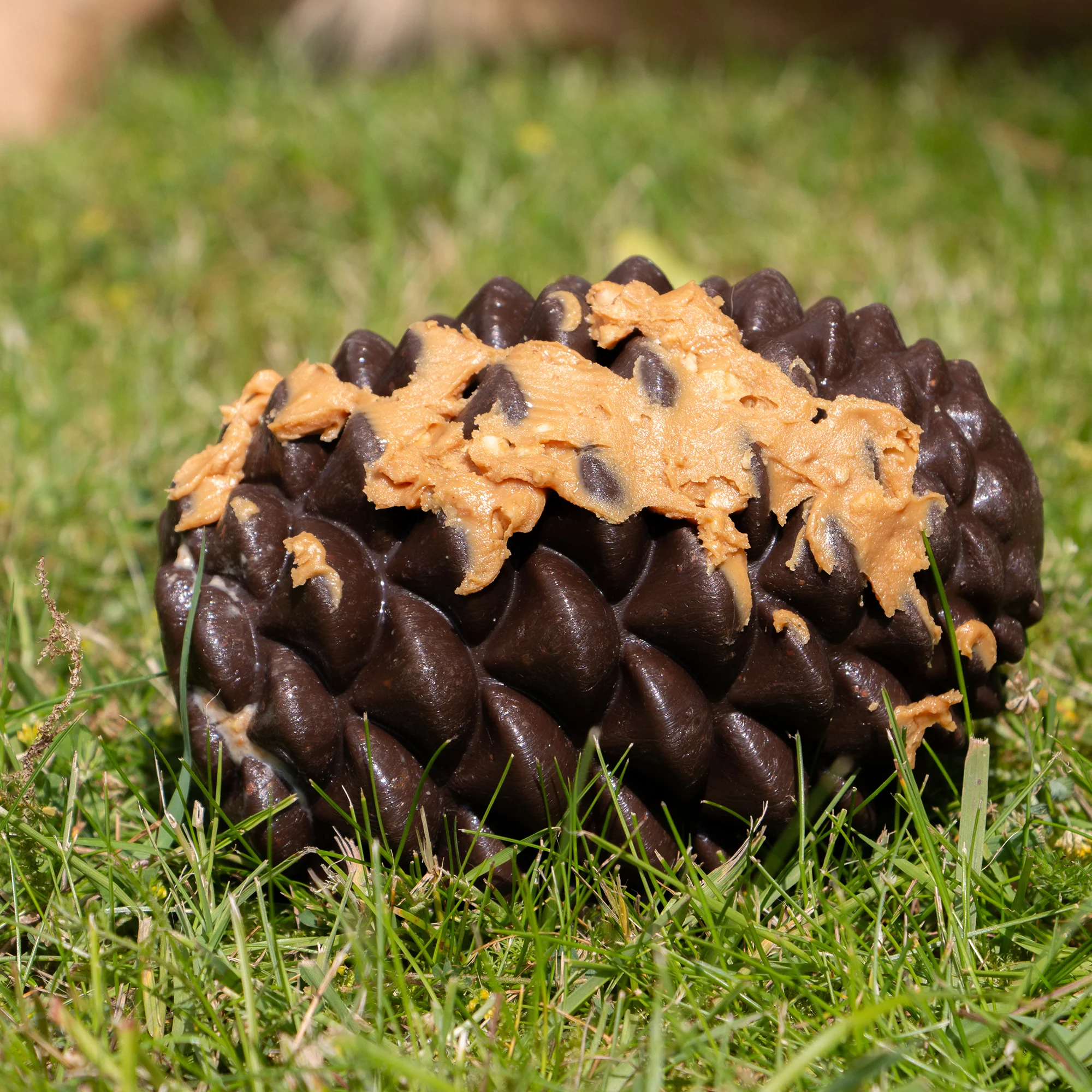 Ancol Orva Pine Cone - Image 4