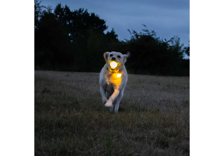 Ancol Rechargeable LED Ball Yellow - Image 4