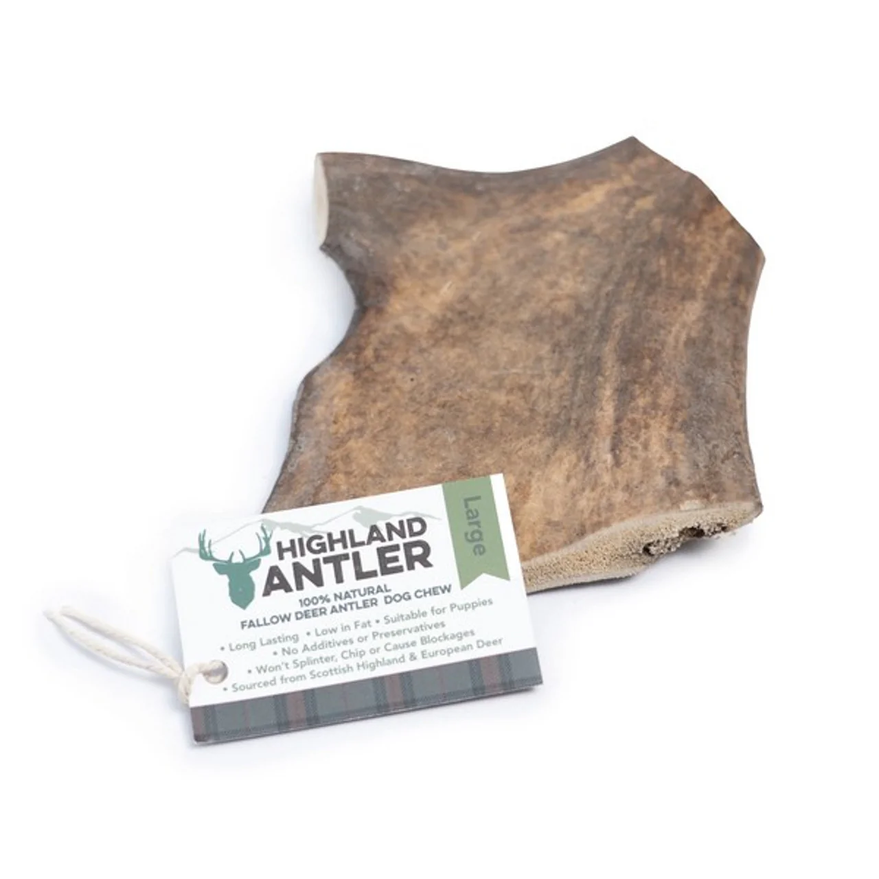 Antos Fallow Antler - Image 2