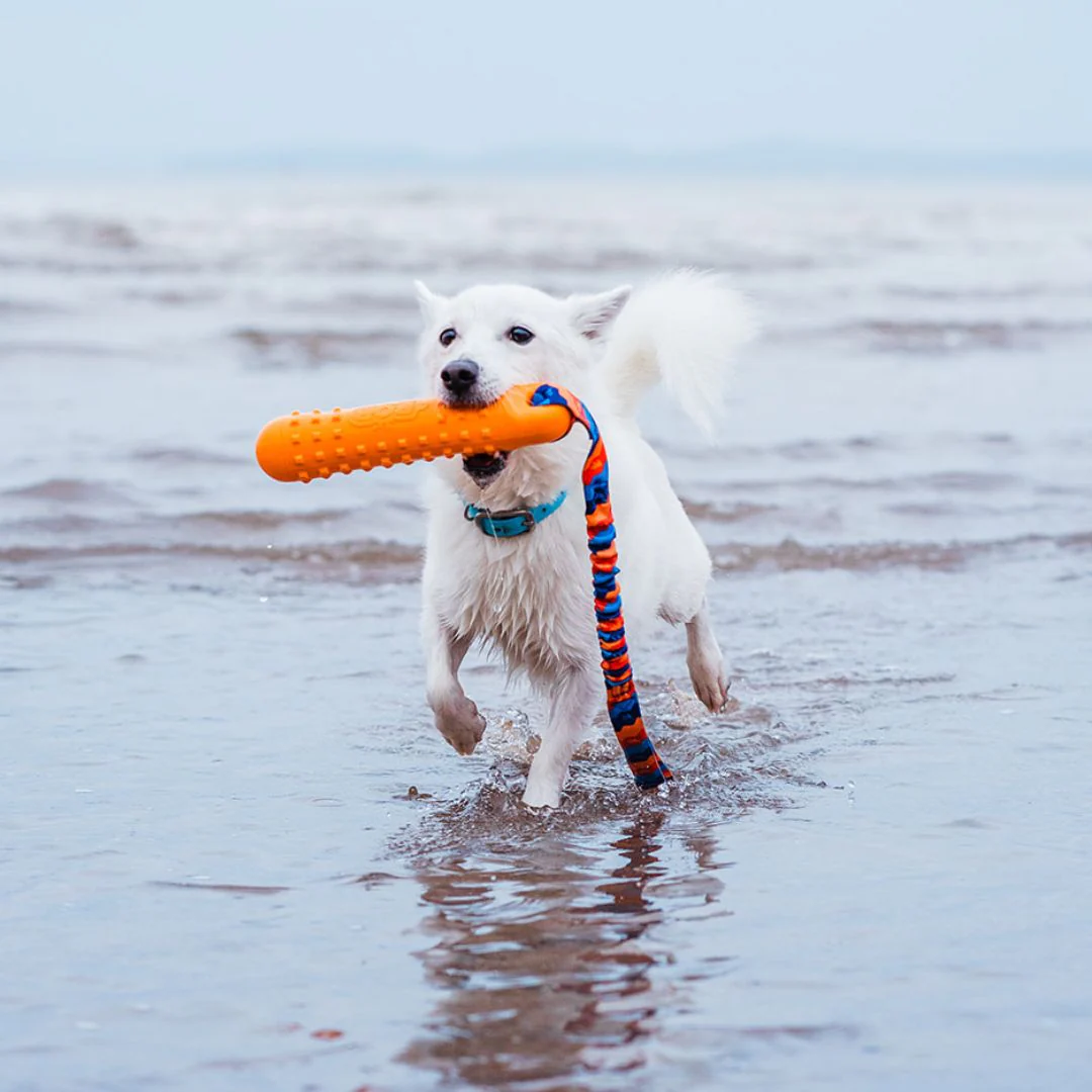 Tug-E-Nuff - BOB: The 3-in-1 Dog Dummy - Image 5