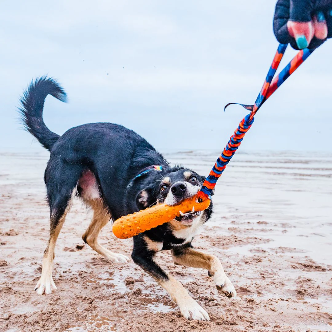 Tug-E-Nuff - BOB: The 3-in-1 Dog Dummy - Image 7