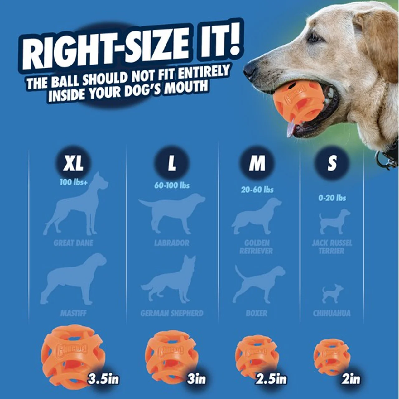 Chuckit! Air Fetch Ball Medium 2 pack 6.5cm - Image 3