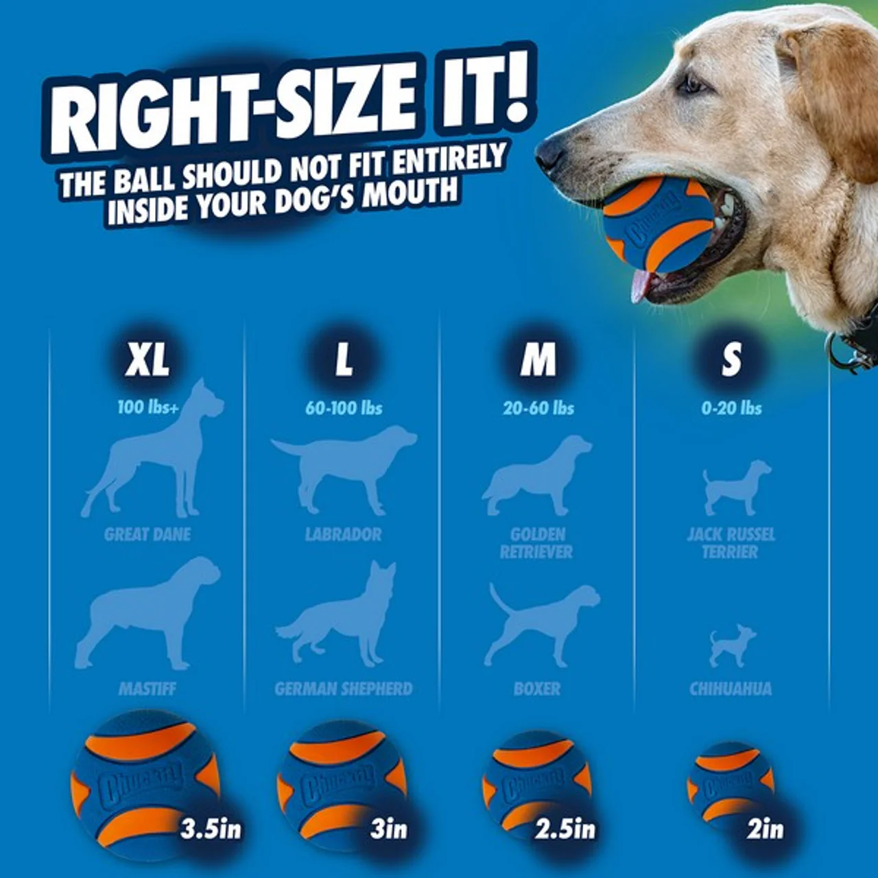 Chuckit! Ultra Squeaker Ball Small 2 pack - Image 3