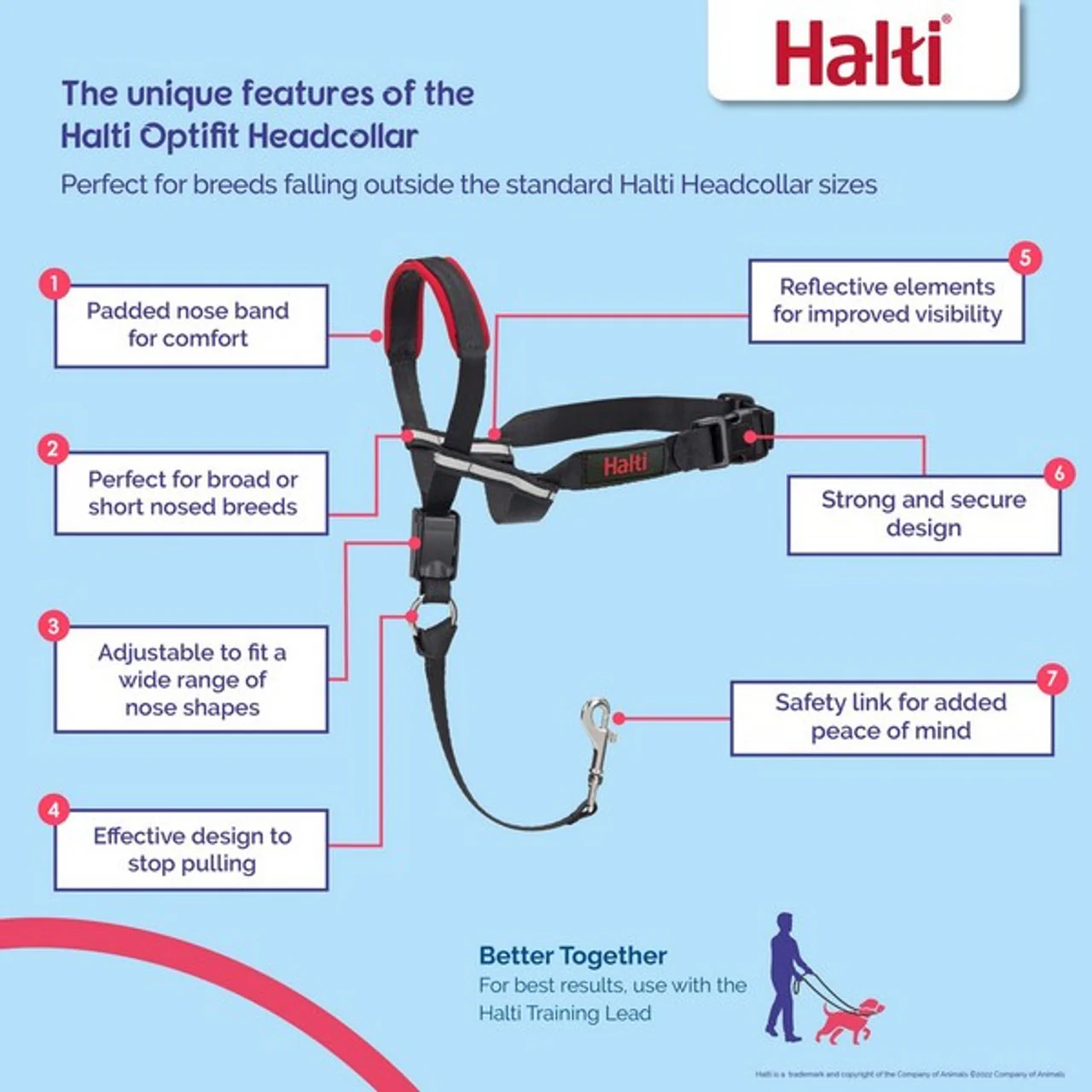 Company of Animals Halti Optifit - Image 2