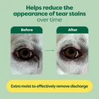 Earth Rated Pet Eye Wipes - Image 3
