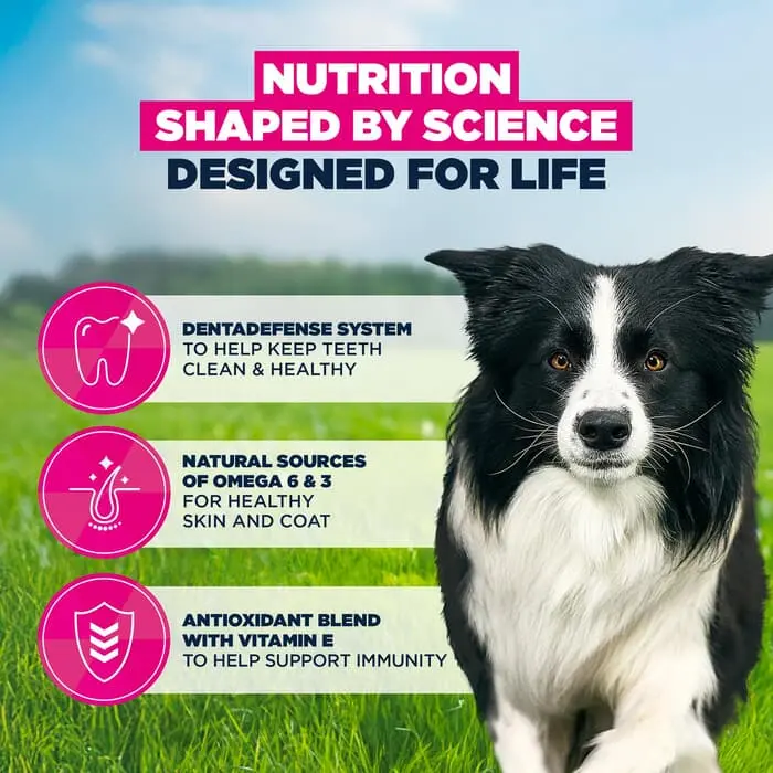 Eukanuba Active Adult Medium Breed Chicken 3kg - Image 4