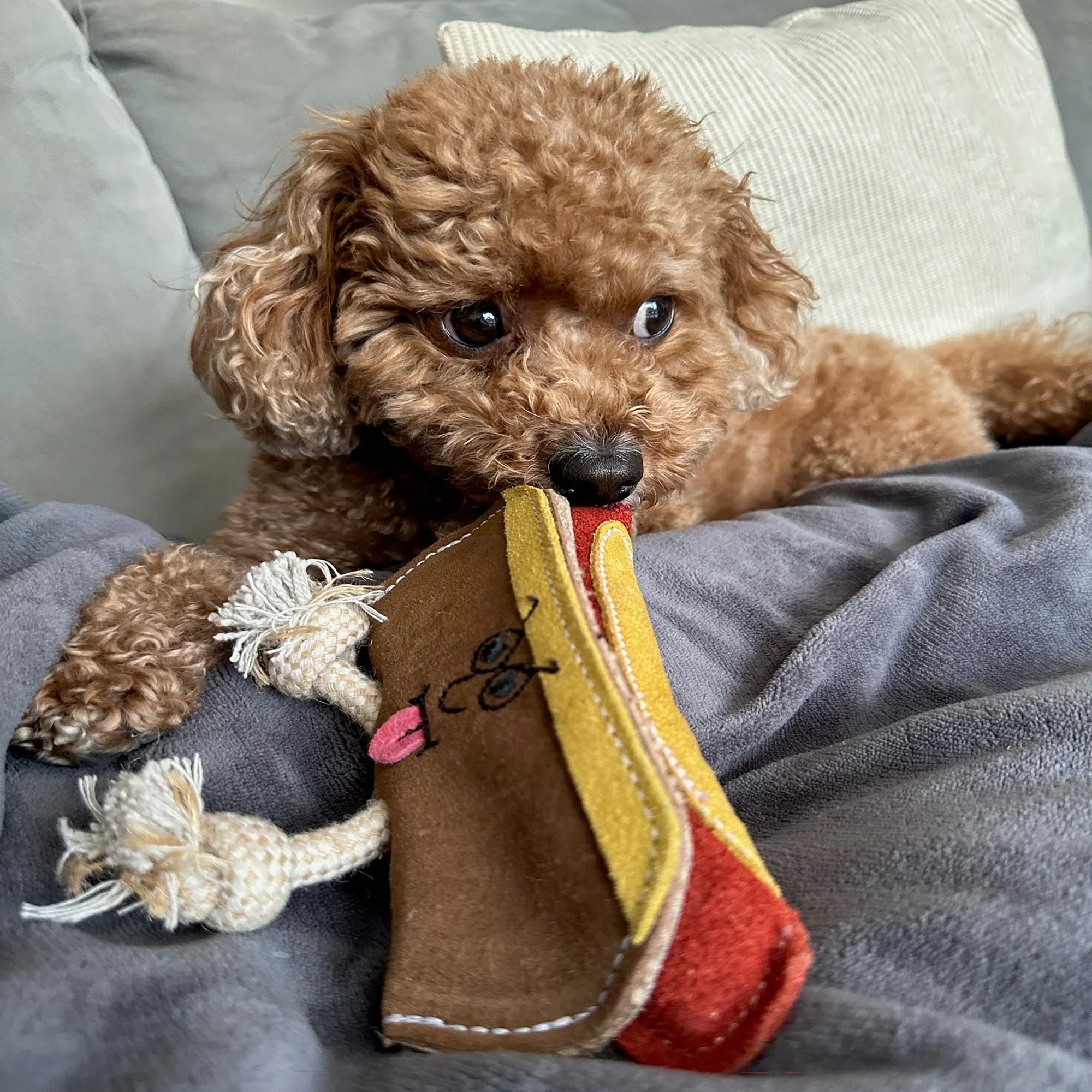 Green and Wilds Harry the Hot Dog Eco Toy - Image 2