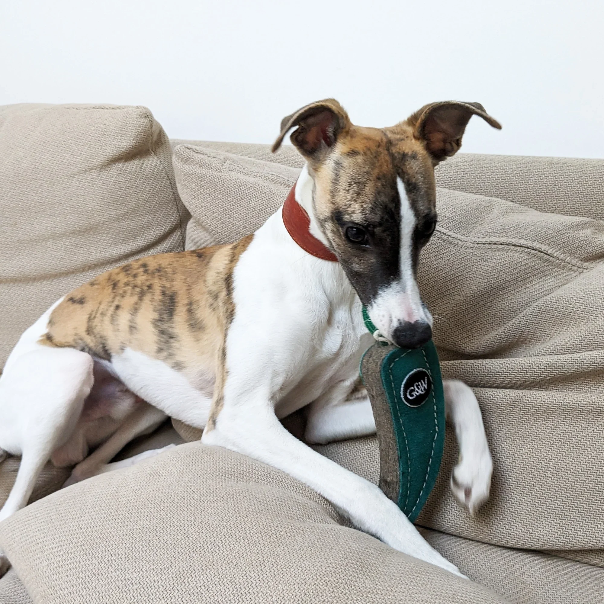 Green and Wilds Juan the Jalapeno Eco Toy - Image 2