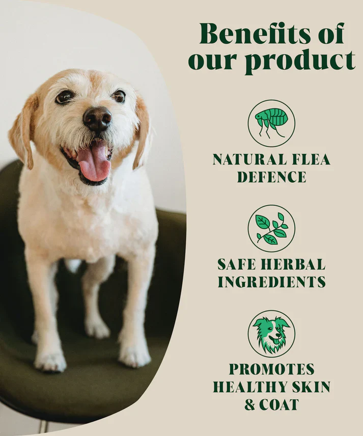 Hackney Dog House Herbal Flea & Tick 200g - Image 4