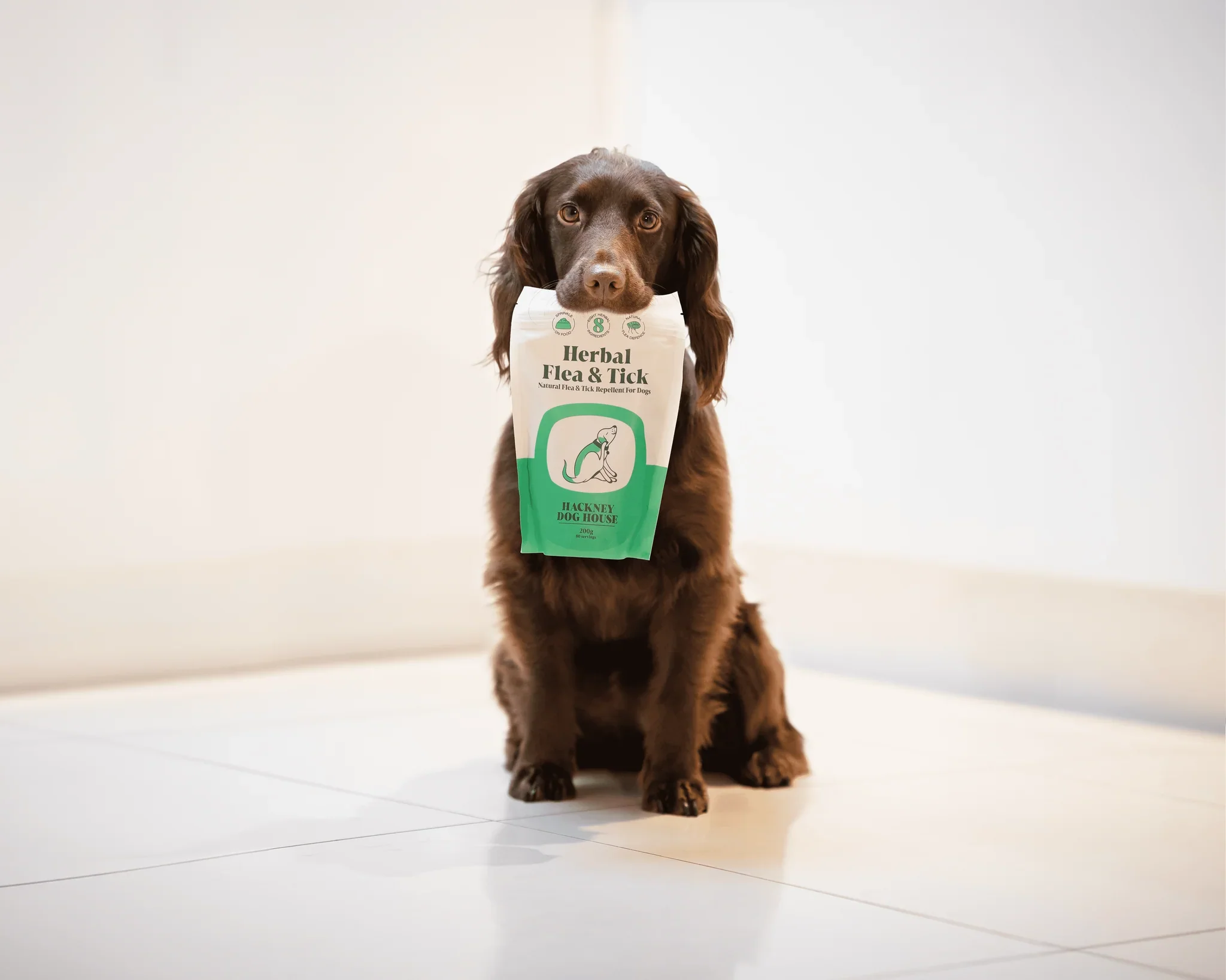 Hackney Dog House Herbal Flea & Tick 200g - Image 5