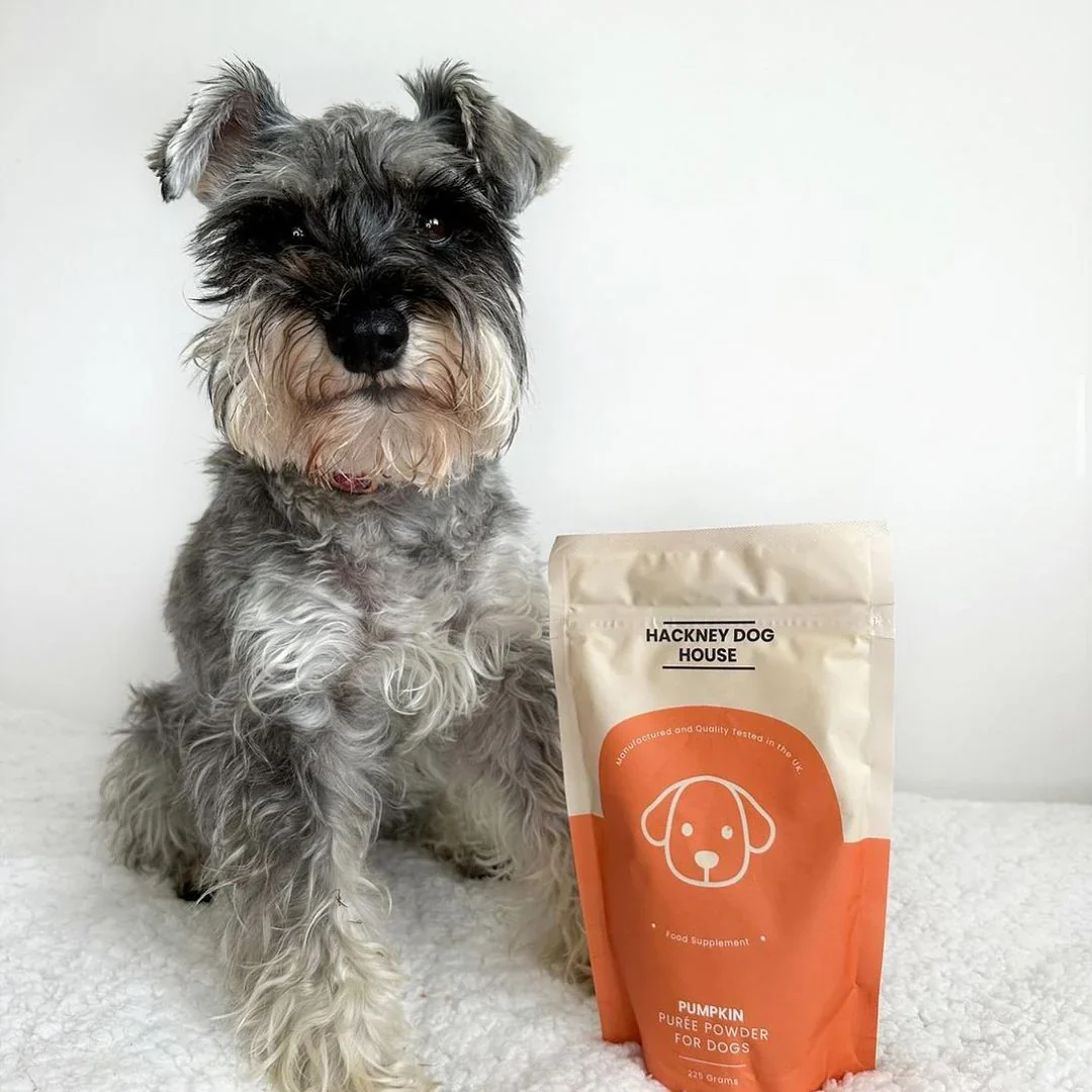 Hackney Dog House Pumpkin Puree Powder 225g - Image 4