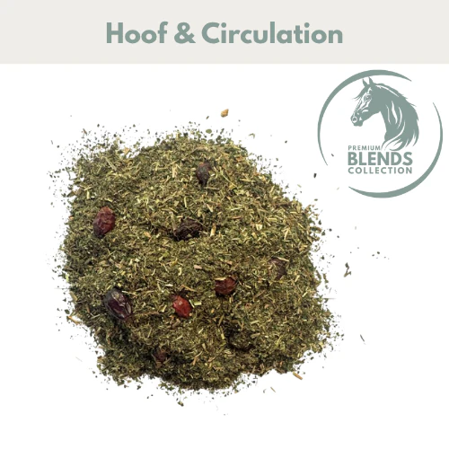 Healthy Hoof Support Blend - Image 2