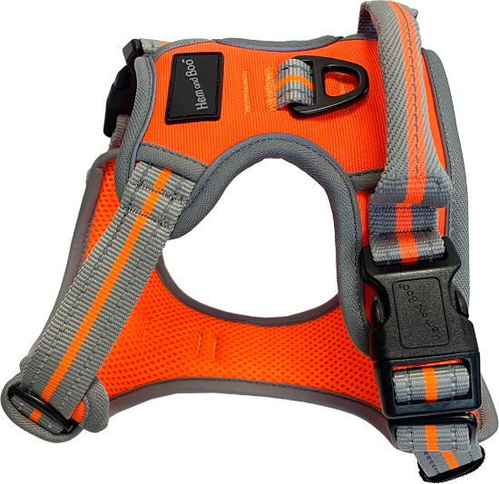 Hem and Boo Sports Harness - Image 3