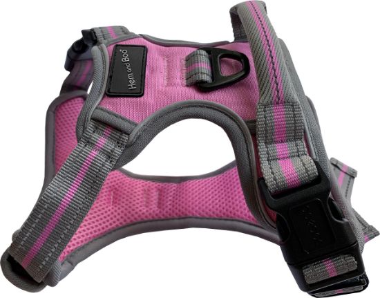 Hem and Boo Sports Harness - Image 6