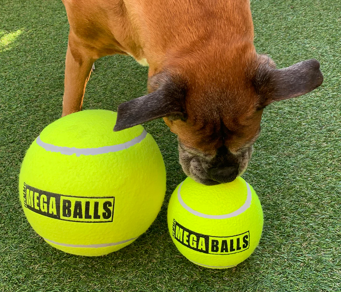 Hem & Boo Mega Ball 6"