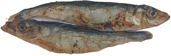 K9 Chew Co Sprats 1kg - Image 2