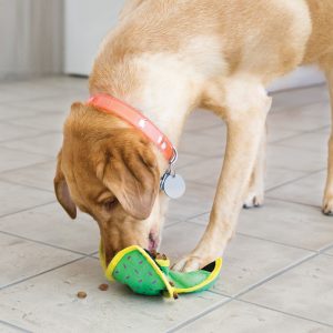 KONG Ballistic Hide 'N Treat Durable Dog Toy Large - Assorted - Image 4