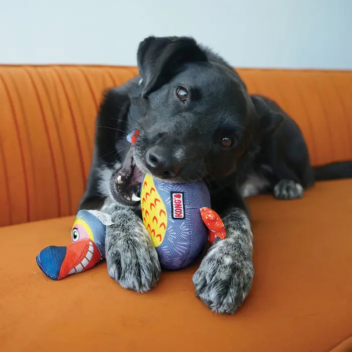 KONG Ballistic Vibez Birds Toy - Image 3