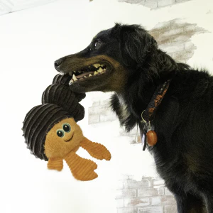 KONG Cuteseas Rufflez Hermit Crab Plush Dog Toy Small/Medium - Image 2