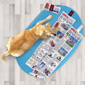 KONG Daily Newspaper Plush Dog Toy X-Large - Image 3