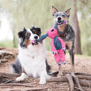KONG Floppy Knots Elephant Squeaky Tug Dog Toy - Medium/Large - Image 3