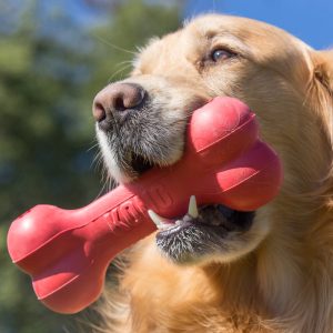 KONG Goodie Bone Treat Dispensing Dog Toy - Medium Red (18cm) - Image 3