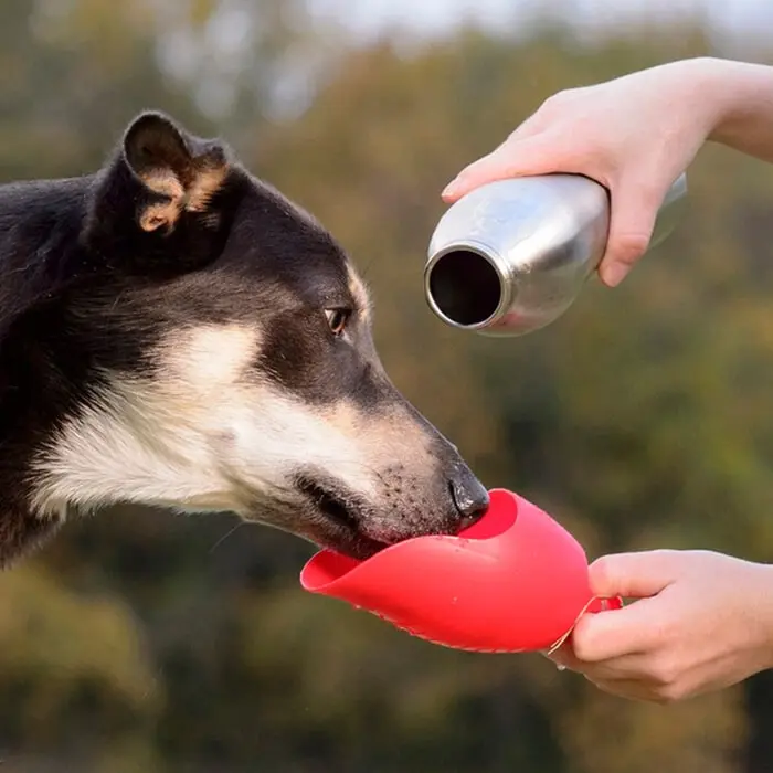 KONG H2O Stainless Steel Dog Water Bottle Black 25oz - Image 2