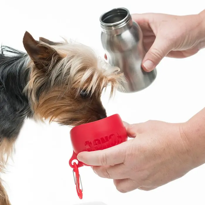 KONG H2O Stainless Steel Dog Water Bottle Red 9.5oz - Image 2