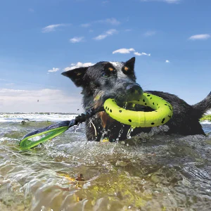 KONG Reflex Durable Tug Dog Toy - Image 3