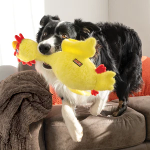 KONG Scruffs Chicken Squeaky Plush Dog Toy - Medium/Large - Image 3