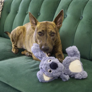 KONG Scrumplez Koala Squeaky Plush Dog Toy - Medium - Image 3