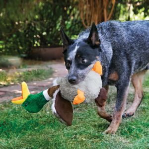 KONG Shakers Honkers Duck Squeaky Tug Dog Toy - Small - Image 3