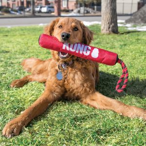 KONG Signature Stick with Rope Durable Tug Dog Toy - Medium - Image 3