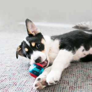 KONG Squeezz Action Squeaky Fetch Dog Toy - Medium Red 3-Pack - Image 3