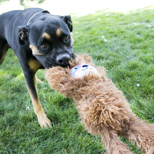KONG Tuggz Sloth Squeaky Tug Plush Dog Toy - X-Large - Image 3