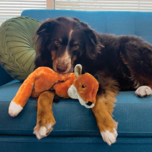 KONG Wild Low Stuff Fox Squeaky Plush Dog Toy - Medium - Image 3