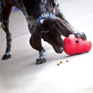 KONG Wobbler Interactive Treat Dispensing Dog Toy - Small Red (15cm) - Image 4