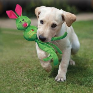 KONG Wubba Ballistic Friend Durable Squeaky Tug Dog Toy - Small Assorted (21cm) - Image 4