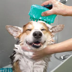 KONG ZoomGroom Gentle Rubber Grooming Brush for Dogs - Image 2