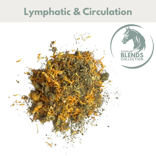 Lymphatic Support Blend - Image 2