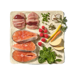 Natures Menu Frozen Complete & Balanced 80/20 Block - Salmon & Chicken 500g - Image 4